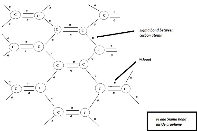 Electronic bond in graphene