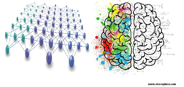 Neural Network